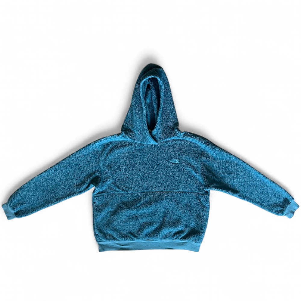 The North Face Teal Sherpa Hoodie